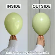 Macaron Pistachio – 13 см (5 инча) – 100 броя – Kalisan